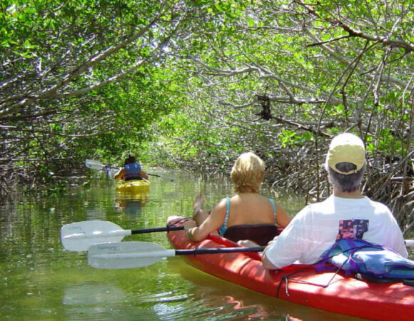 Funzi Island Excursion /Mangroove Tour/ Crocodile Spotting/Sandbank Sunbathing & Swimming/Sea Food Lunch/Island Village Walk